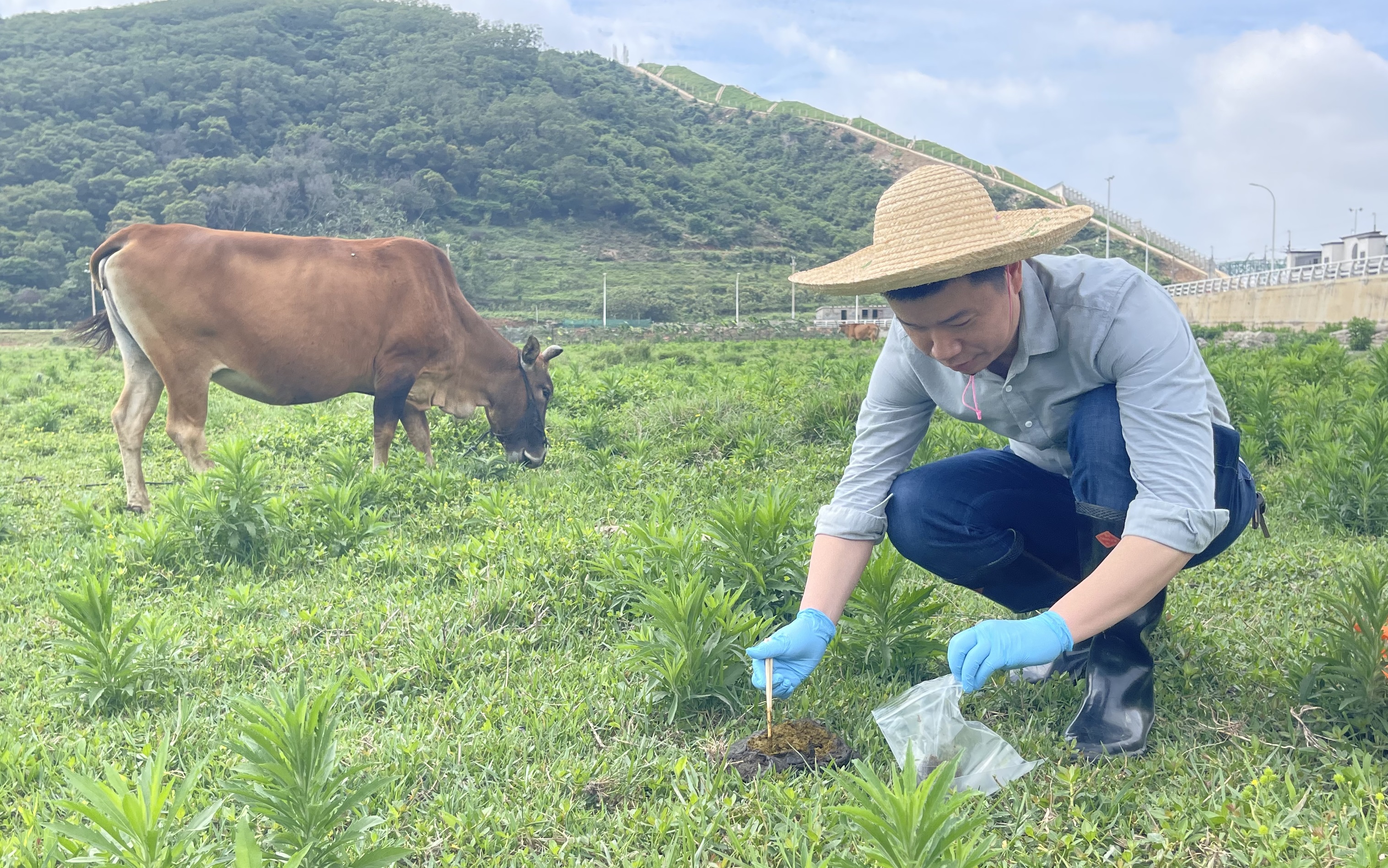 中心开展2021年血吸虫病风险监测