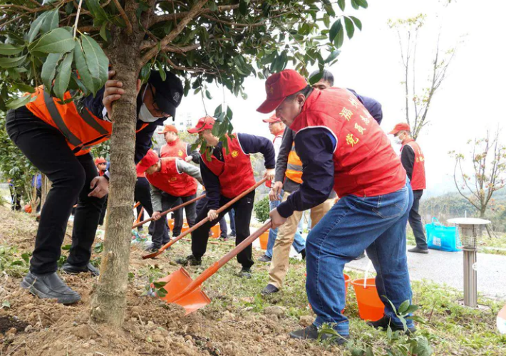 市城管委开展“贯彻二十大 城管勇争先”植树主题党日暨学雷锋志愿服务活动